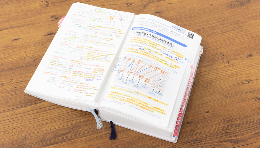 看護師免許取得後も看護を学び続ける、一生ものの力が身につく。